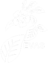 EVAS Finalist 2026